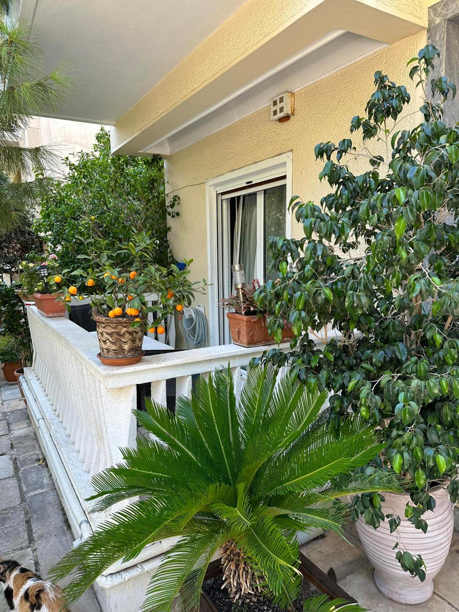 Angel , Luxury 2Bd Apartment Next To The Beach Athen Exterior foto